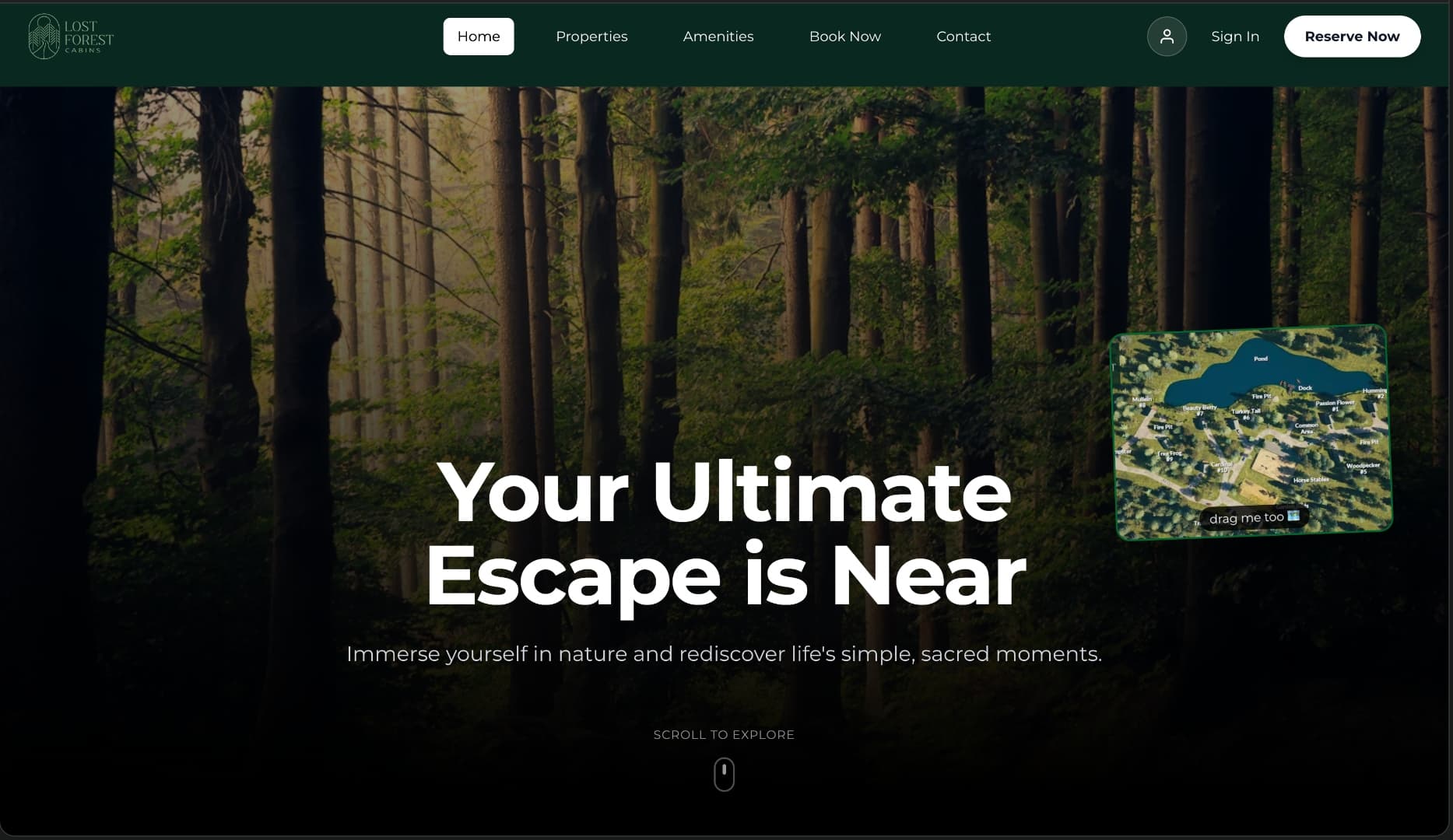 Lost Forest Cabins project preview